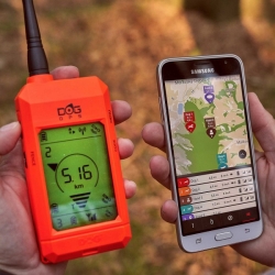 Műholdas GPS nyomkövető DOG GPS X30T - kiképző modullal