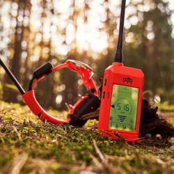 Nyakörv egy másik kutyához DOG GPS X25T narancs