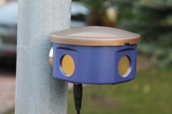 3D-s ultrahangos madárijesztő nyestek, egerek és patkányok számára DRAGON ULTRASONIC B360B SMART 