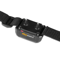 Dog Trace d-control Edge 450 Elektronikus nyakörv kutyák számára  